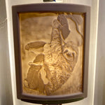 Sloth Porcelain Night Light