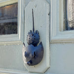 Wrought Iron Horseshoe Crab Door Knocker