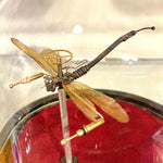 Steampunk Dragonfly