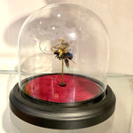 Steampunk Bumble Bee
