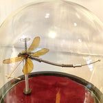 Steampunk Dragonfly