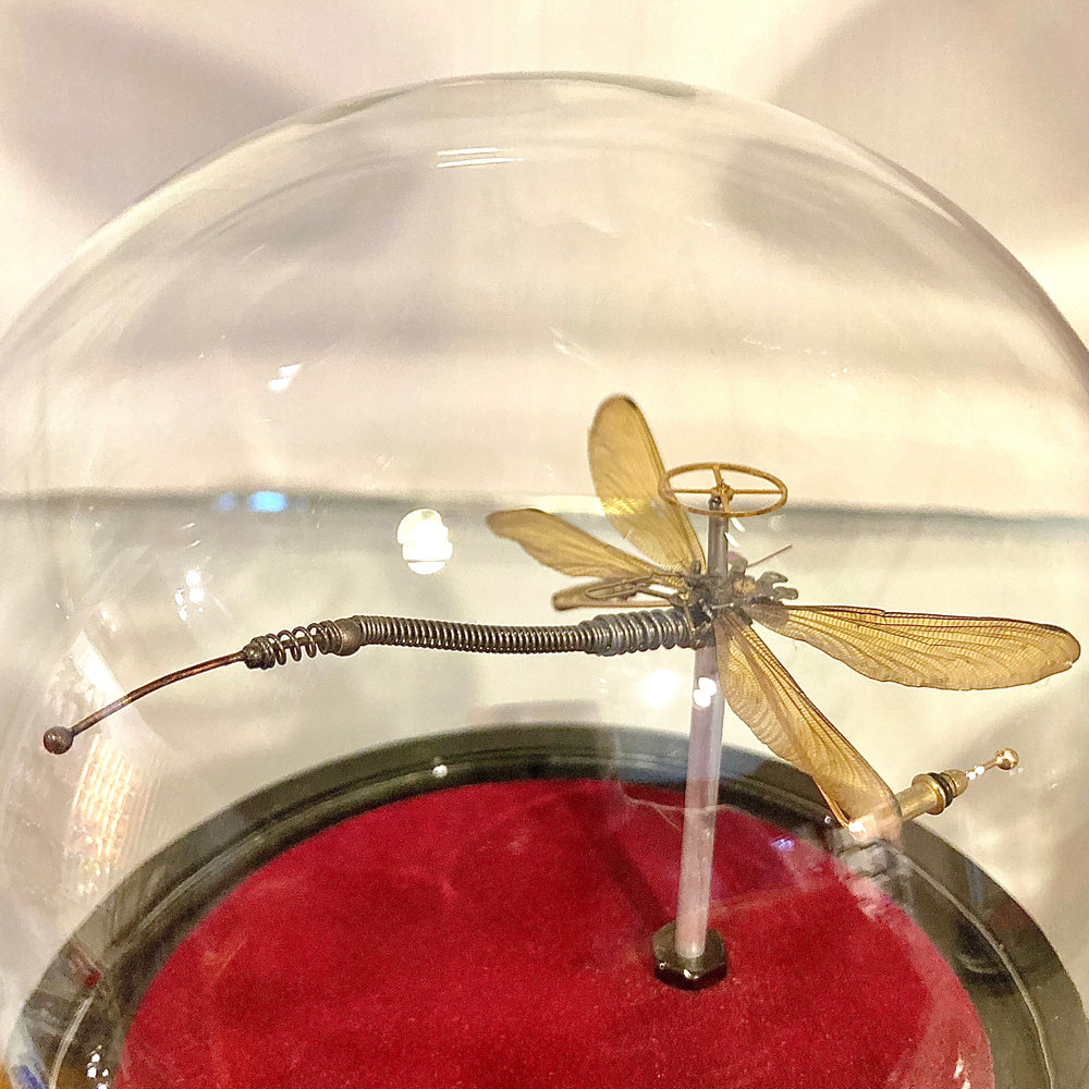 Steampunk Dragonfly