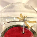 Steampunk Dragonfly