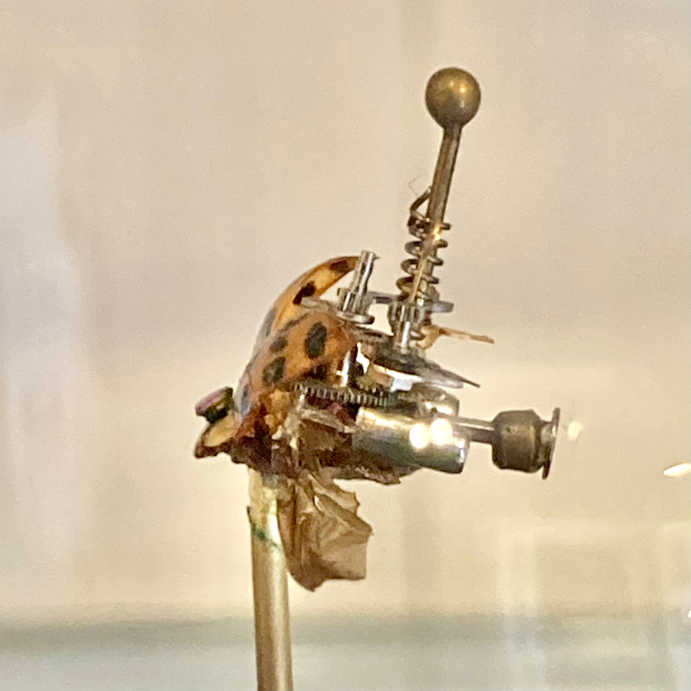 Steampunk Lady Bug