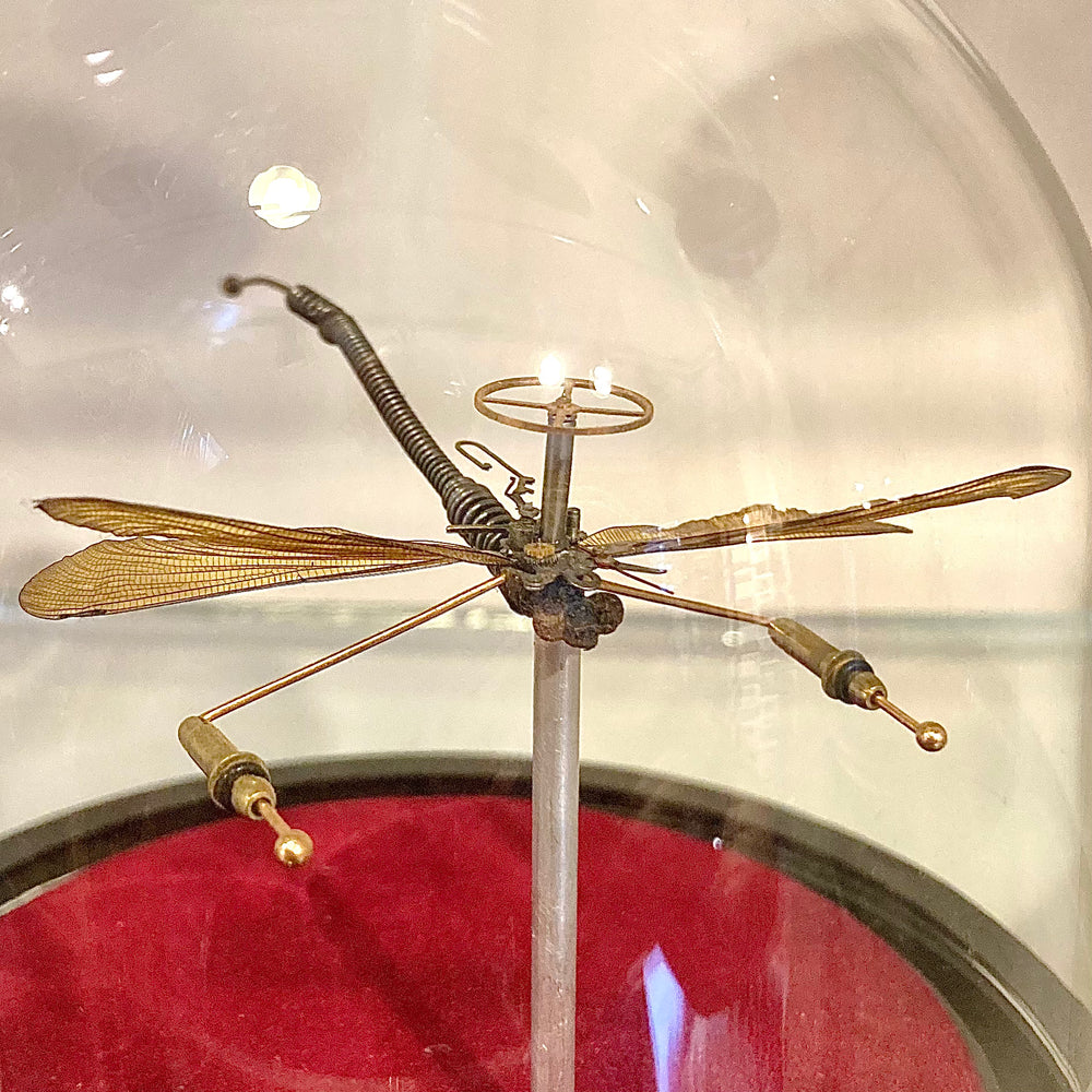 Steampunk Dragonfly
