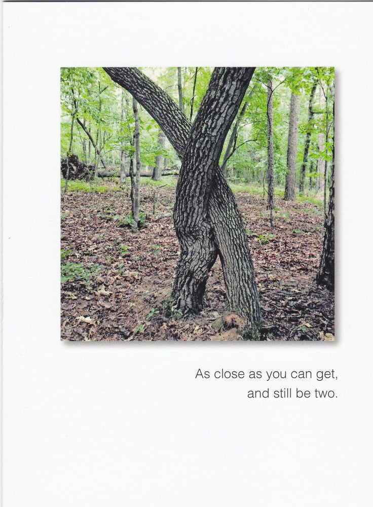 As close as you can get, and still be two Anniversary Card