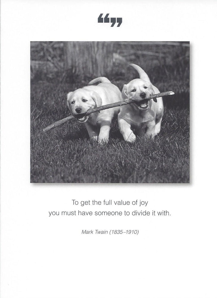 To Get The Full Value of Joy Card