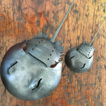 Wrought Iron Horseshoe Crabs